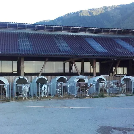 Casa vacanze Reinfrank *