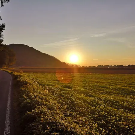 Prázdninový dům Reinfrank