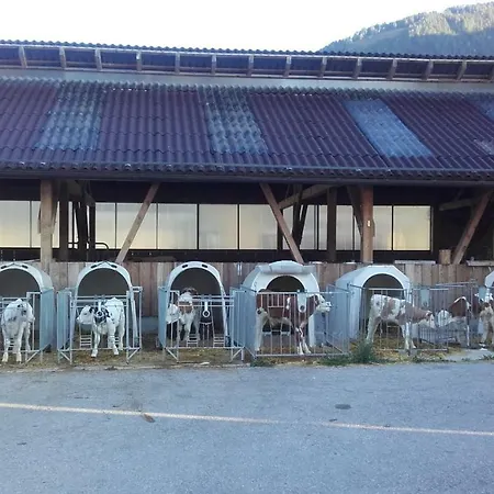 Reinfrank Sankt Michael im Lungau