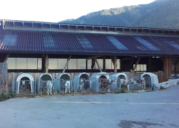 Tatil Evi Reinfrank *