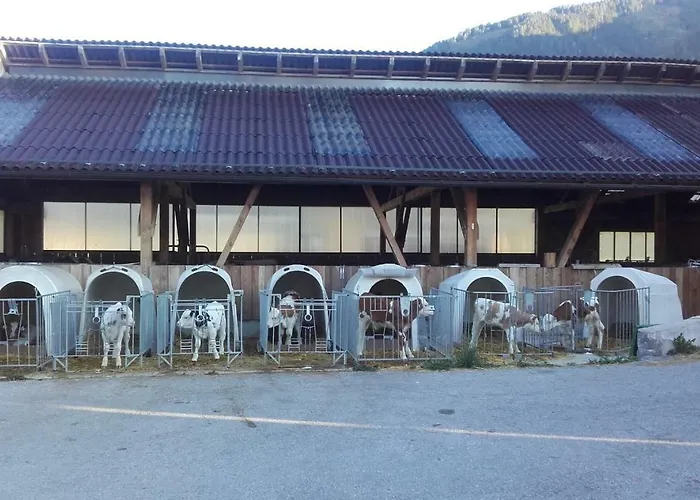 Reinfrank Sankt Michael im Lungau